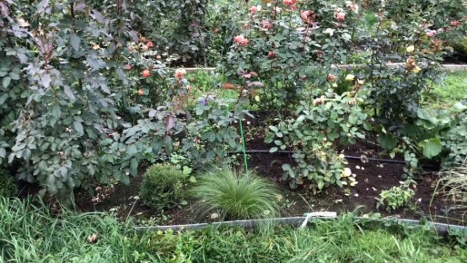 ��� ��������� �������� ������������ ����� � ������: ������ ��� �������� ����