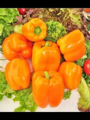 ����� �������: ��������� ����� ��� ������ � �������� ������