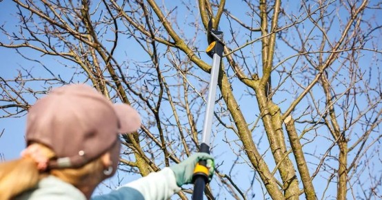 ������� �������� ������� ��� ������ ����