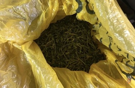 � ����������������� ������ ����������� ��������� �������������� � ���������� �������� �������