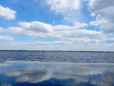 � ������������� ������� ��������� ��������� �������������� ������ �� 1 ���