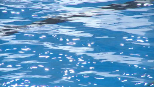 ���� ���������� ��� ������ ��������� �������� ������� �� ��������������, �������� � ������������� ������ �2 � ����������