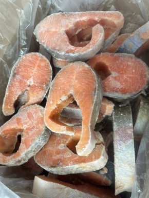 ����� ������ �� ���� 1750 ������ �� ���������: ���������� ����������� ��� ��������