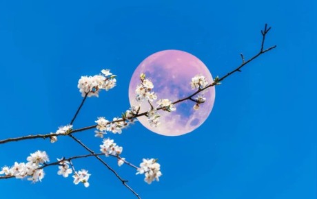 ����������� ������ ��������� �� ��������� ����� � ���� � 1 �� 2 ���