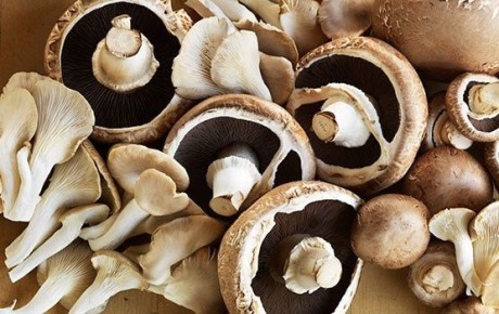 ����� �� ����� �������: ������ ��� �����?