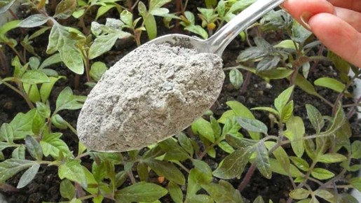 ��� ��� ������� � ��� ����������� ��������� ���� ������� � �������� �������� �� �����