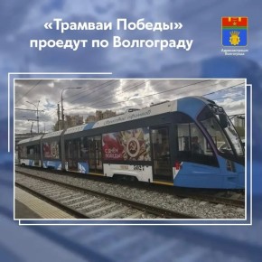 � ������ ������������ 81-� ��������� ������ ���������� ������ � ������� ������������� ����� ��������� �������������� ����� �������� �������