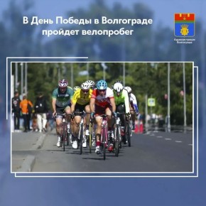 � ������ ������������ 81-� ��������� ������ � ������� ������������� ����� ��������� ���������� ���������� ����������� ������������