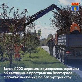 � ���� ���������� ��������� �� ��������������� ��������� ������������ ����� � ����������� �������� �� ���������� ������ ����� 4200 �������� � ����������� ��������� �����