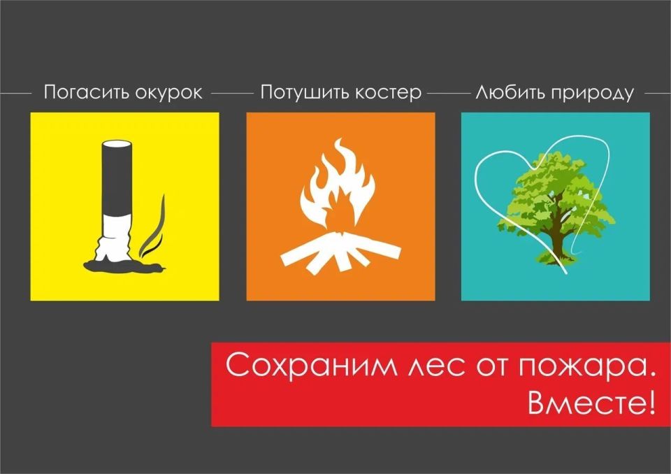 Сохраняйте красоту природы, проявляя внимательность и уважение: затушите сигарету, уберите мусор, тщательно потушите костер