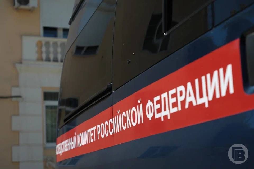 Уголовное дело возбуждено в отношении 16-летнего подростка, подозреваемого в избиении мужчины в Волжском Волгоградской области, сообщает СУ СК РФ по региону