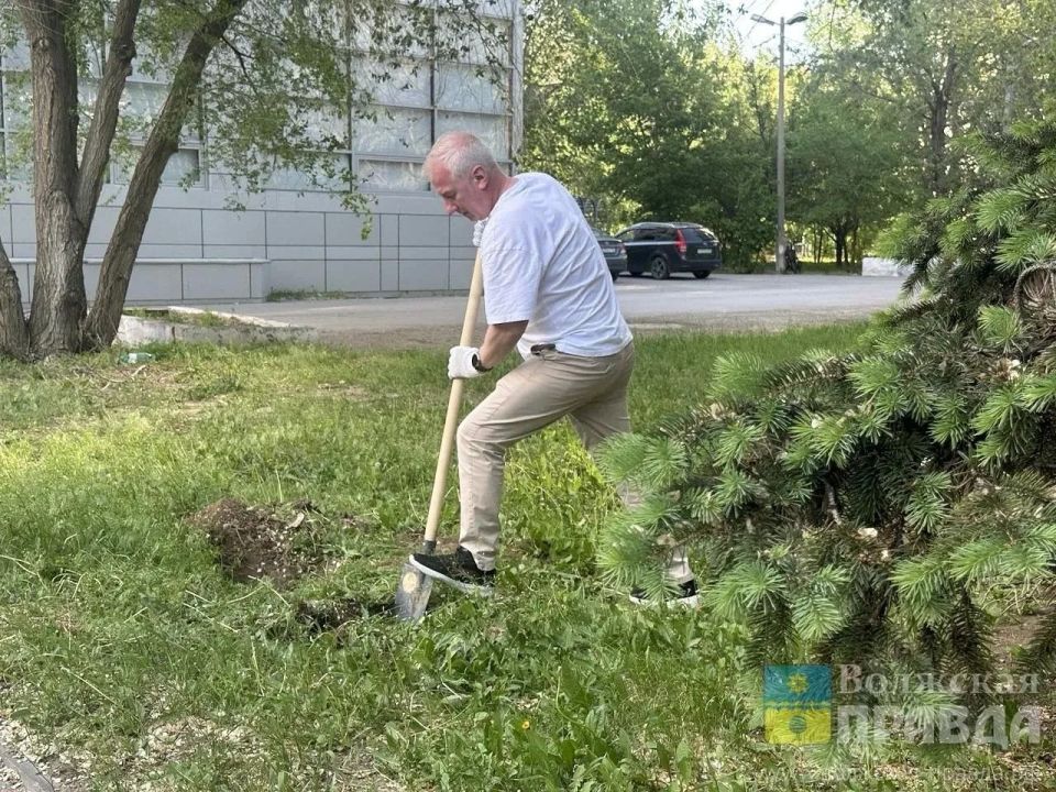 Аллея «Волжской правды» в парке «Волжский» пополнилась 10 новыми каштанами Аллея «Волжской правды» в парке «Волжский» пополнилась 10 новыми каштанами