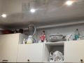 � �����, 20 ���, ��� ������ ���������� ��������� ��� ������ �������������