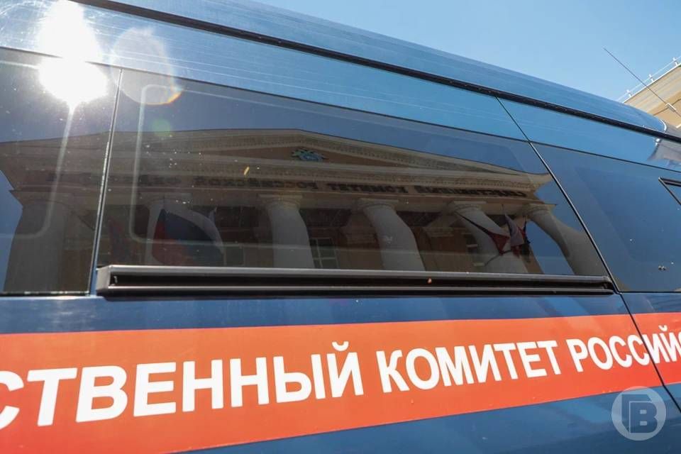 Уголовное дело в отношении жителя Волгограда, обвиняемого в убийстве знакомого, готовится к направлению в суд, расследование завершено, сообщает СУ СК России по региону