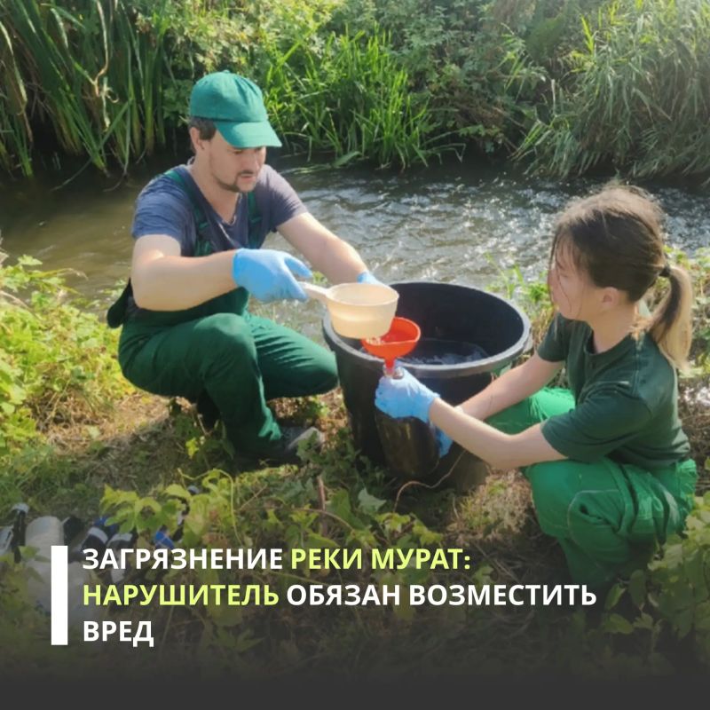 АО «Альметьевск-Водоканал» обязано возместить более 3 млн рублей ущерба, причиненного реке Мурат