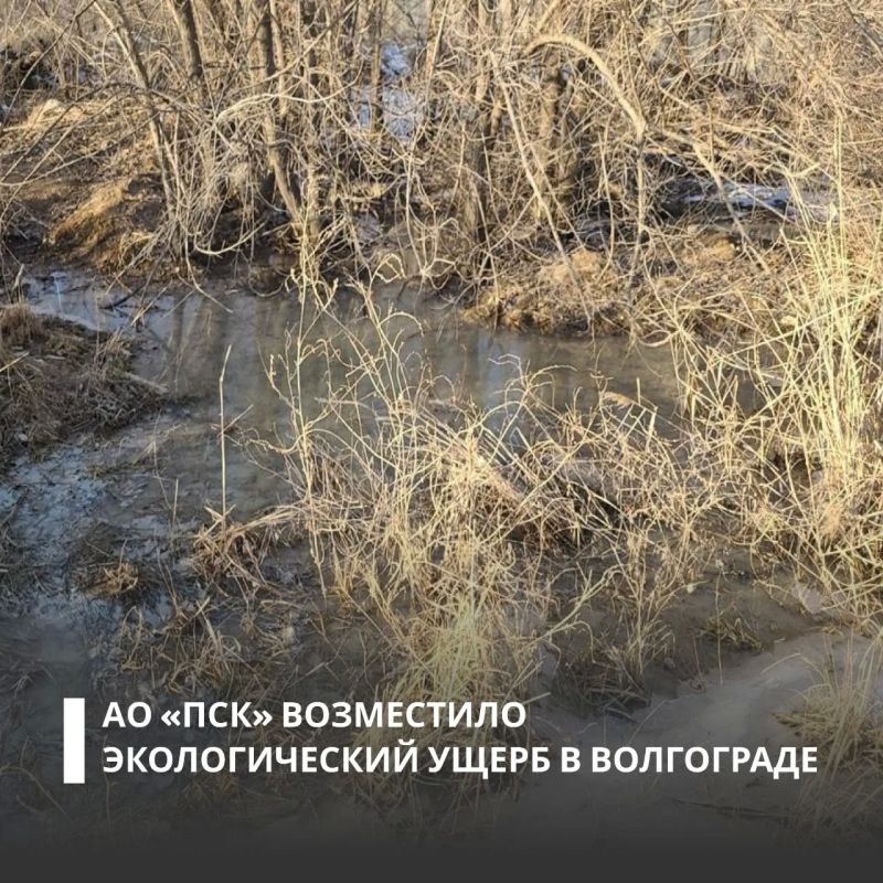 По требованию Росприроднадзора АО «Промстройконструкция» полностью возместило вред, причиненный почвам в Волгограде