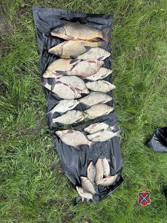 Полицейские в Иловлинском районе пресекли незаконный вылов рыбы Полицейские в Иловлинском районе пресекли незаконный вылов рыбы