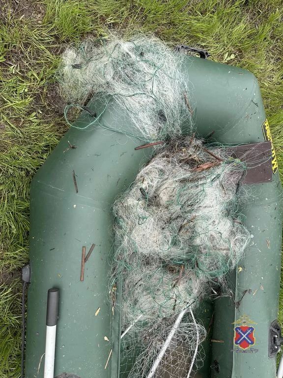 Полицейские в Иловлинском районе пресекли незаконный вылов рыбы Полицейские в Иловлинском районе пресекли незаконный вылов рыбы