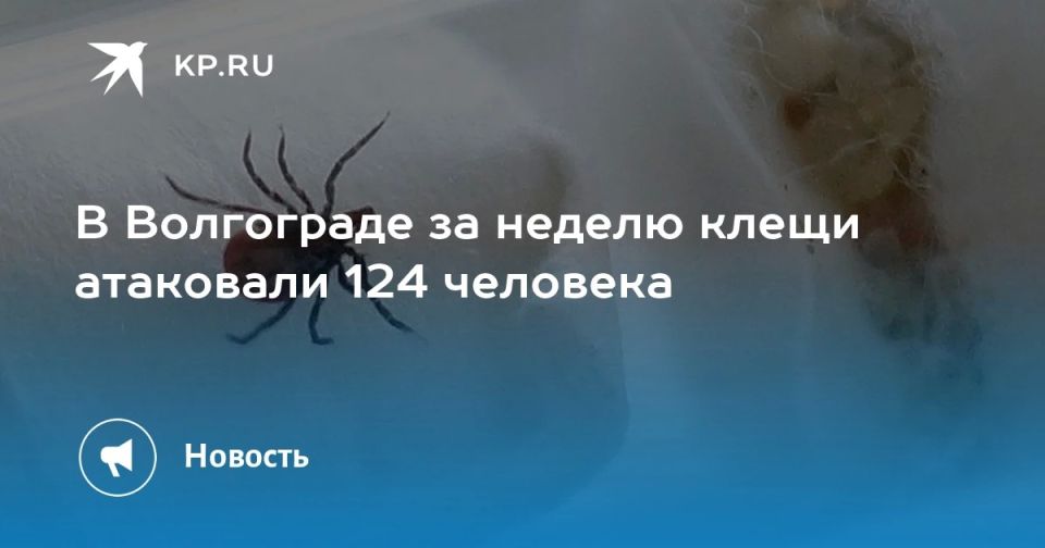 В Волгограде за неделю клещи атаковали 124 человека