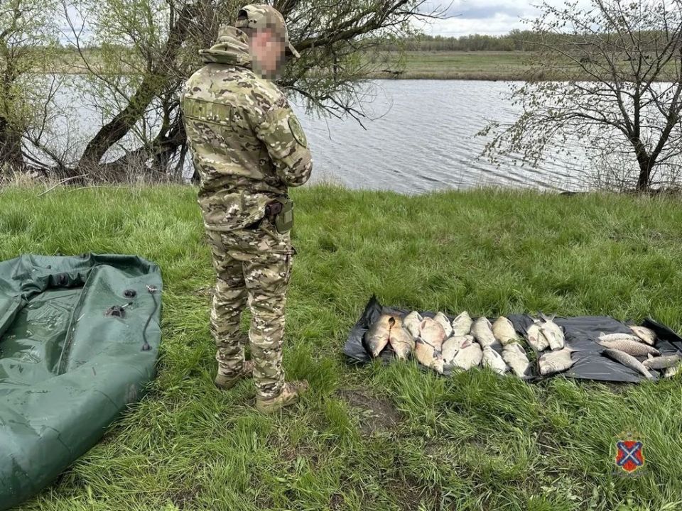 Полицейские в Иловлинском районе пресекли незаконный вылов рыбы Полицейские в Иловлинском районе пресекли незаконный вылов рыбы