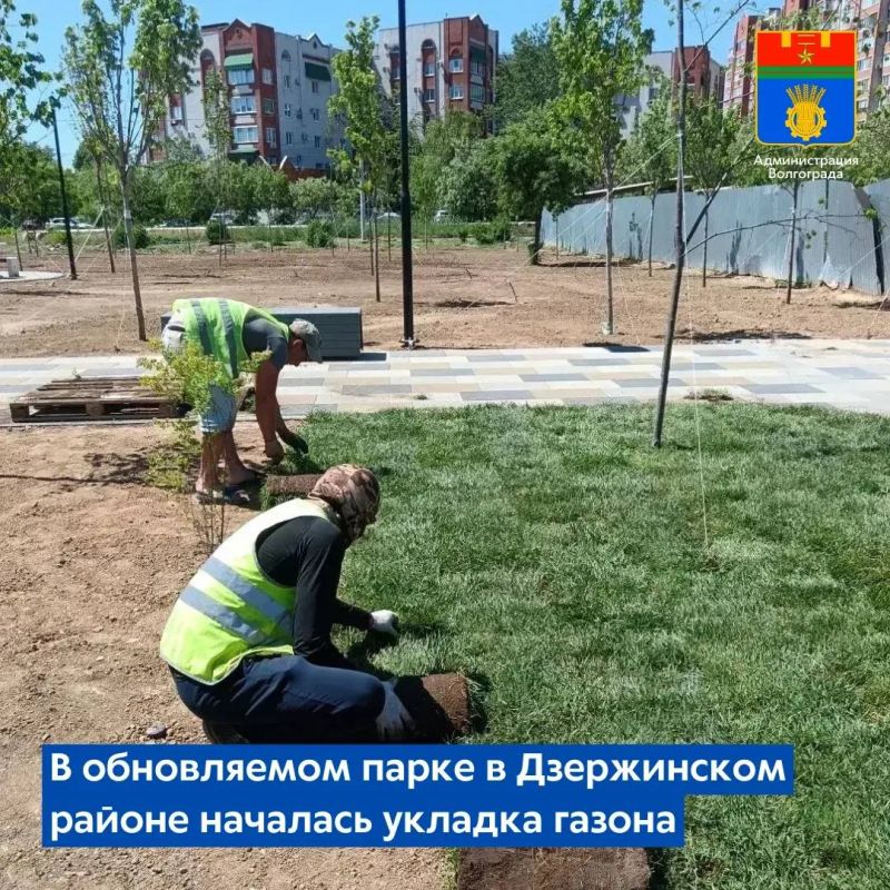 Сотрудники подрядной организации приступили к формированию газонного покрытия в парке Героев-летчиков в Дзержинском районе
