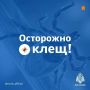 ������������ ��������� ���: ����� �� �������