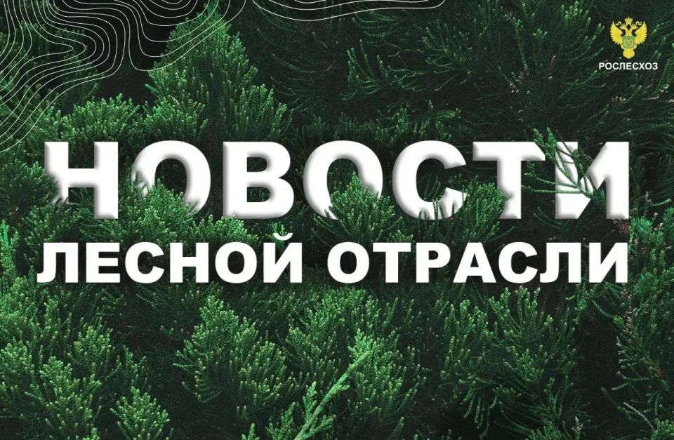 AK&M: Рослесхоз: в регионах Сибири приступят к вызыванию искусственных осадков для тушения лесных пожаров