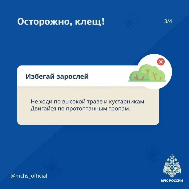 Безопасность выходного дня: отдых на природе Безопасность выходного дня: отдых на природе