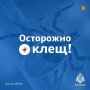 ������������ ��������� ���: ����� �� �������