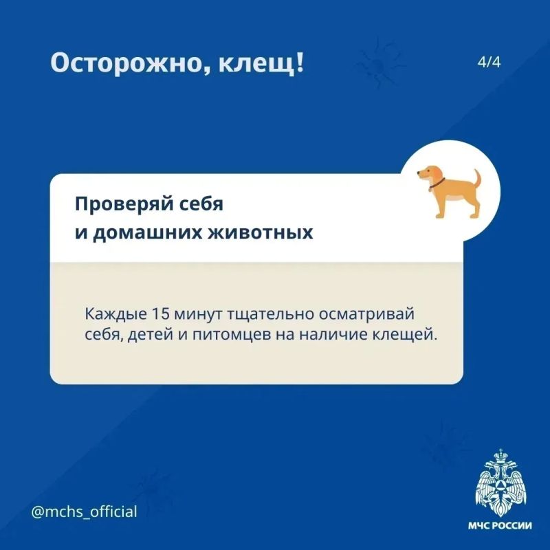 Безопасность выходного дня: отдых на природе Безопасность выходного дня: отдых на природе