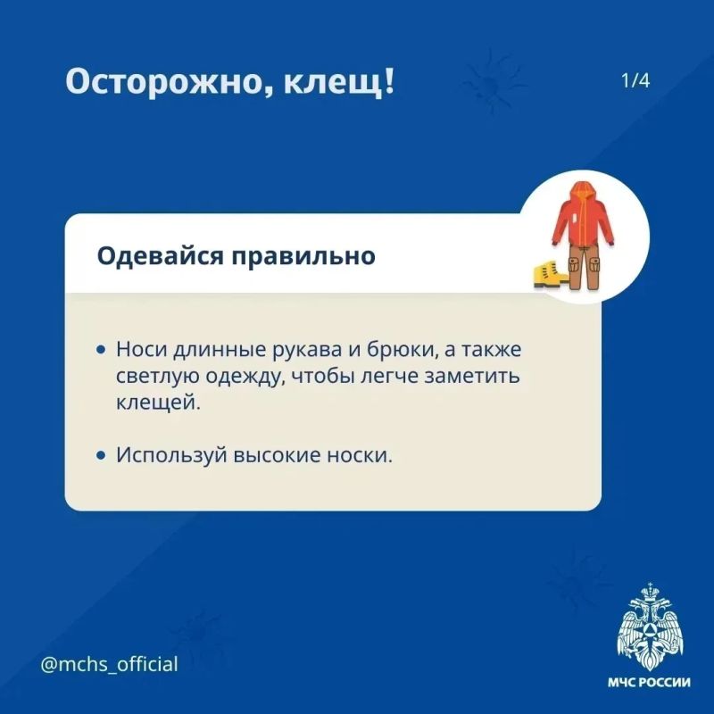 Безопасность выходного дня: отдых на природе Безопасность выходного дня: отдых на природе