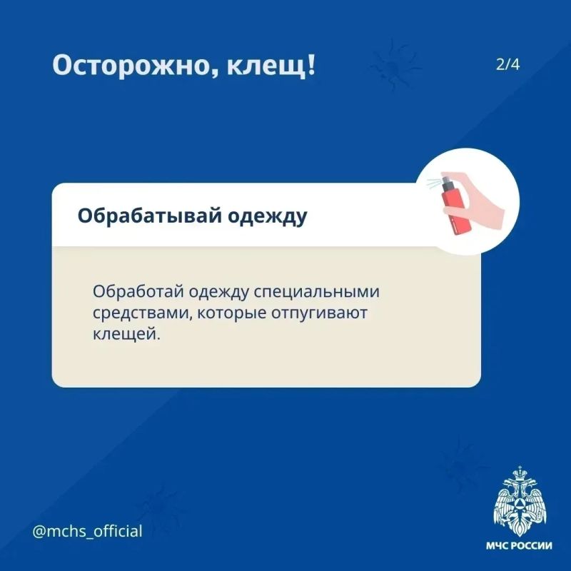 Безопасность выходного дня: отдых на природе Безопасность выходного дня: отдых на природе