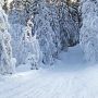 Лёд шипит и тает: секреты быстрой очистки дачных дорожек