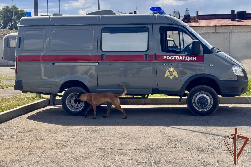Определились лучшие кинологи Южного ордена Жукова округа Росгвардии – состязания прошли в Волгоградской области накануне Дня кинологической службы и были приурочены к 10-летию ведомства Определились лучшие кинологи Южного ордена Жукова округа Росгвардии – состязания прошли в Волгоградской области накануне Дня кинологической службы и были приурочены к 10-летию ведомства