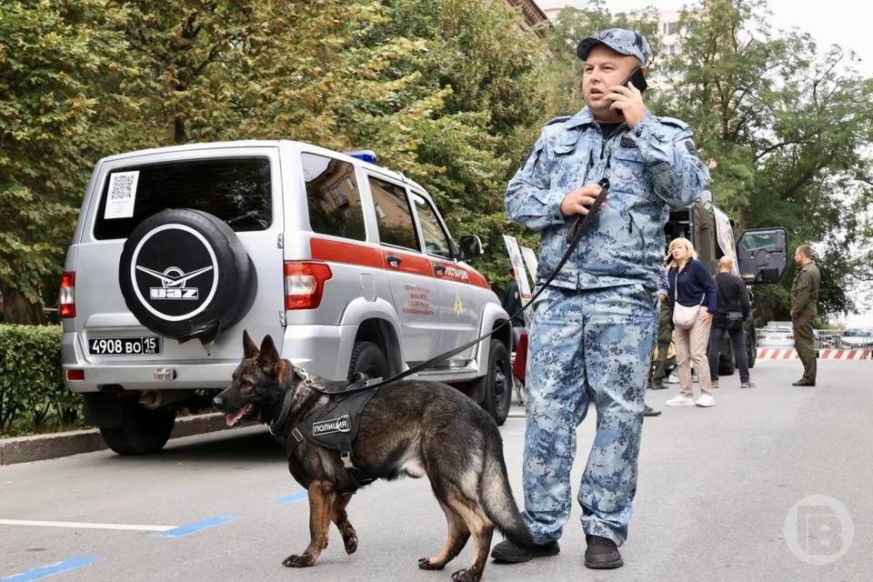 Более 300 раз выезжали по тревоге волгоградские росгвардейцы за прошедшую неделю, пресечено 113 правонарушений, задержано три человека, сообщает Управление Росгвардии по региону