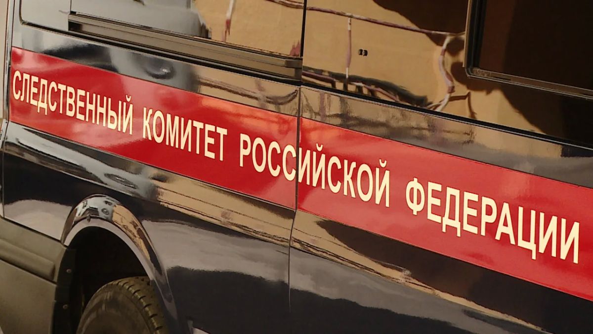 Волгоградская организация подозревается в распространении небезопасных лекарств для животных