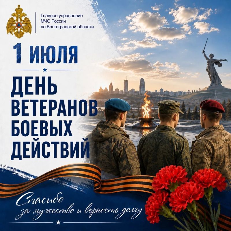С Днем ветерана боевых действий!