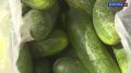 Огурцы подешевели на 11,4% в волгоградских магазинах