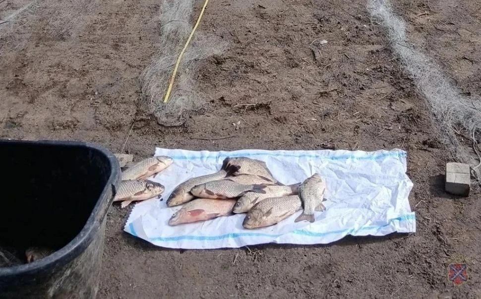 Троих браконьеров поймали в Волгоградской области