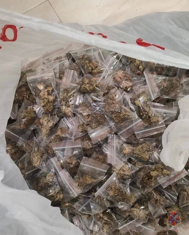 Волгоградские полицейские изъяли у оптового наркосбытчика более 7 кг марихуаны Волгоградские полицейские изъяли у оптового наркосбытчика более 7 кг марихуаны
