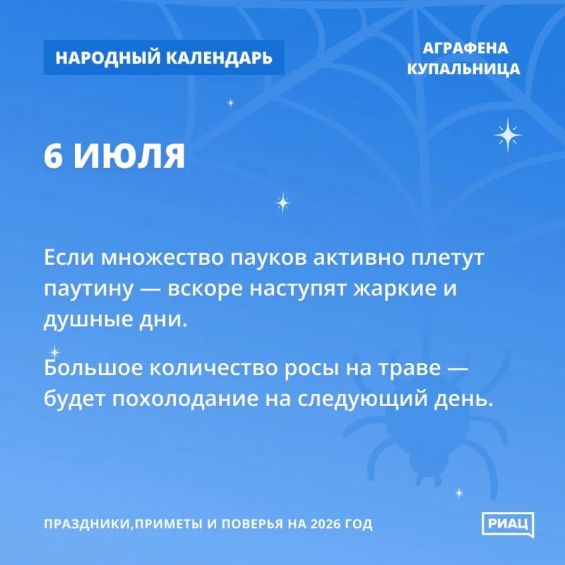 Много пауков и паутины - предвестники жары Много пауков и паутины - предвестники жары