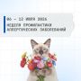 С 06 по 12 июля 2026 проводится Неделя профилактики аллергических заболеваний (в честь Всемирного дня борьбы с аллергией 8 июля)
