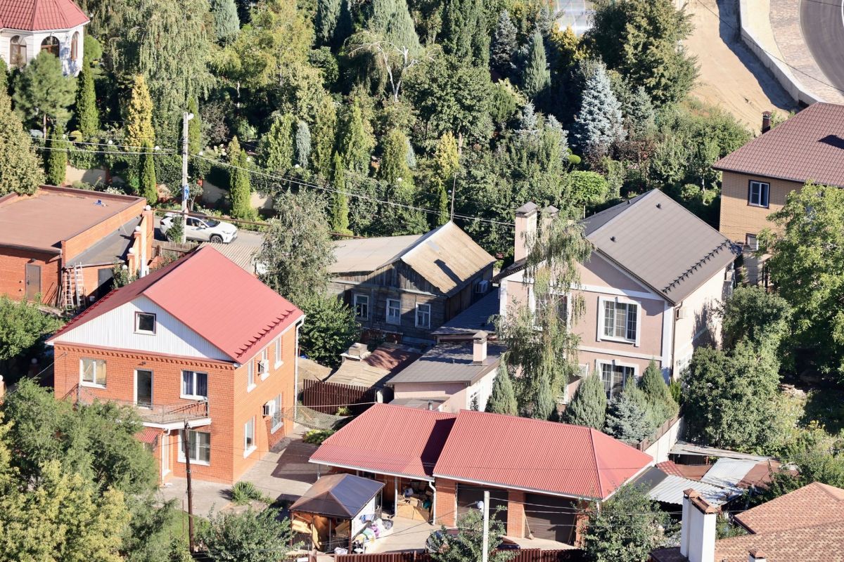 Кабан бегает по улицам в Советском районе Волгограда