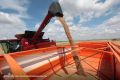 Российские активы международного зернотрейдера Louis Dreyfus рассчитывает выкупить АО «Горизонт Индастриз»
