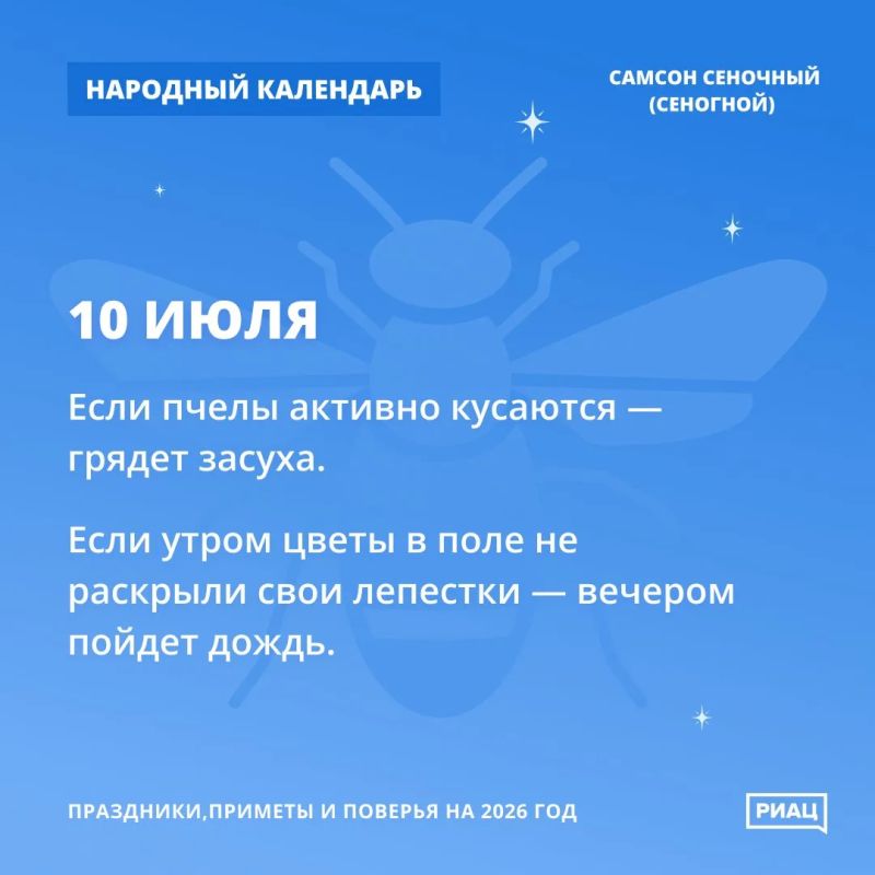 Кусачие пчёлы - к засухе Кусачие пчёлы - к засухе