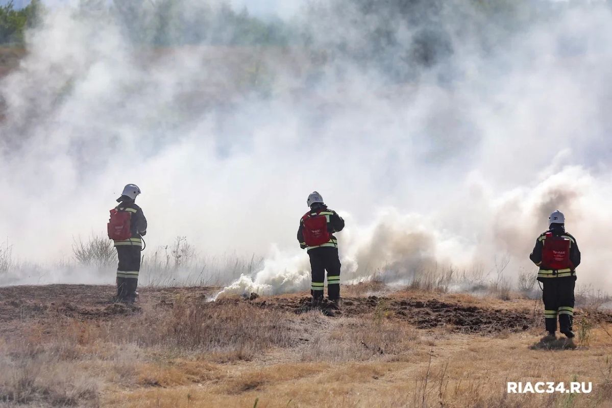 В Волгоградской области объявлена чрезвычайная пожароопасность - сегодня, 13 июля, и до конца завтрашних суток