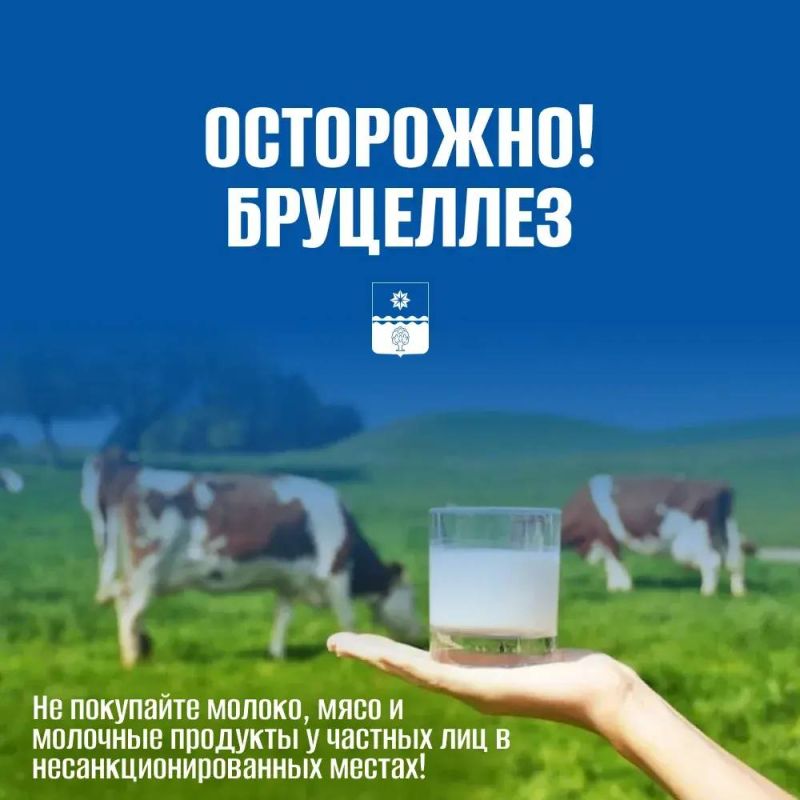 В Волжском с начала 2026 года зарегистрировано 6 случаев заражения бруцеллезом