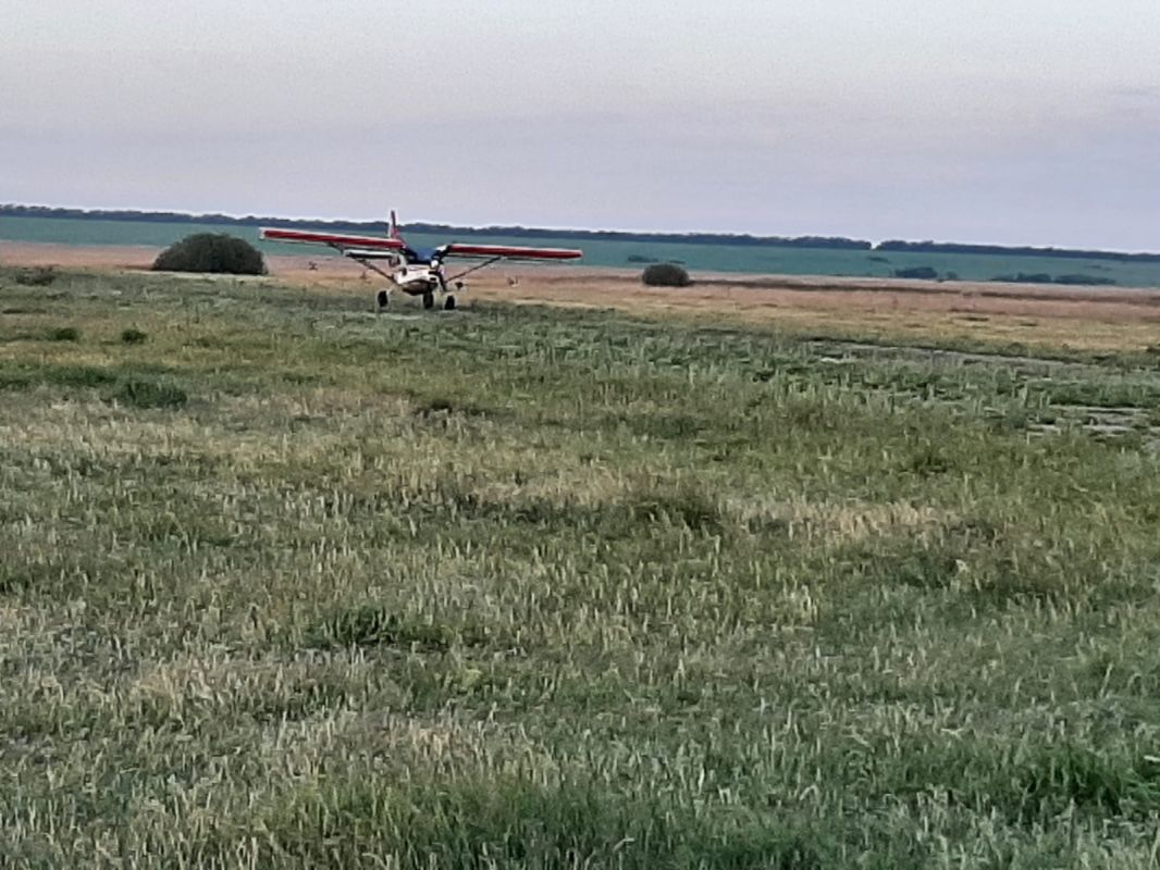 Леса Волгоградской области успешно защитили от нашествия опасных насекомых-вредителей с помощью специальной авиации и химических препаратов