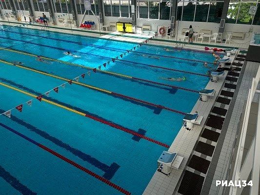 Волгоград чествует победителей первенства Европы по плаванию Волгоград чествует победителей первенства Европы по плаванию