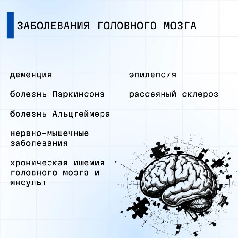 С 20 по 26 июля 2026 проводится Неделя сохранения здоровья головного мозга (в честь Всемирного дня мозга 22 июля) С 20 по 26 июля 2026 проводится Неделя сохранения здоровья головного мозга (в честь Всемирного дня мозга 22 июля)